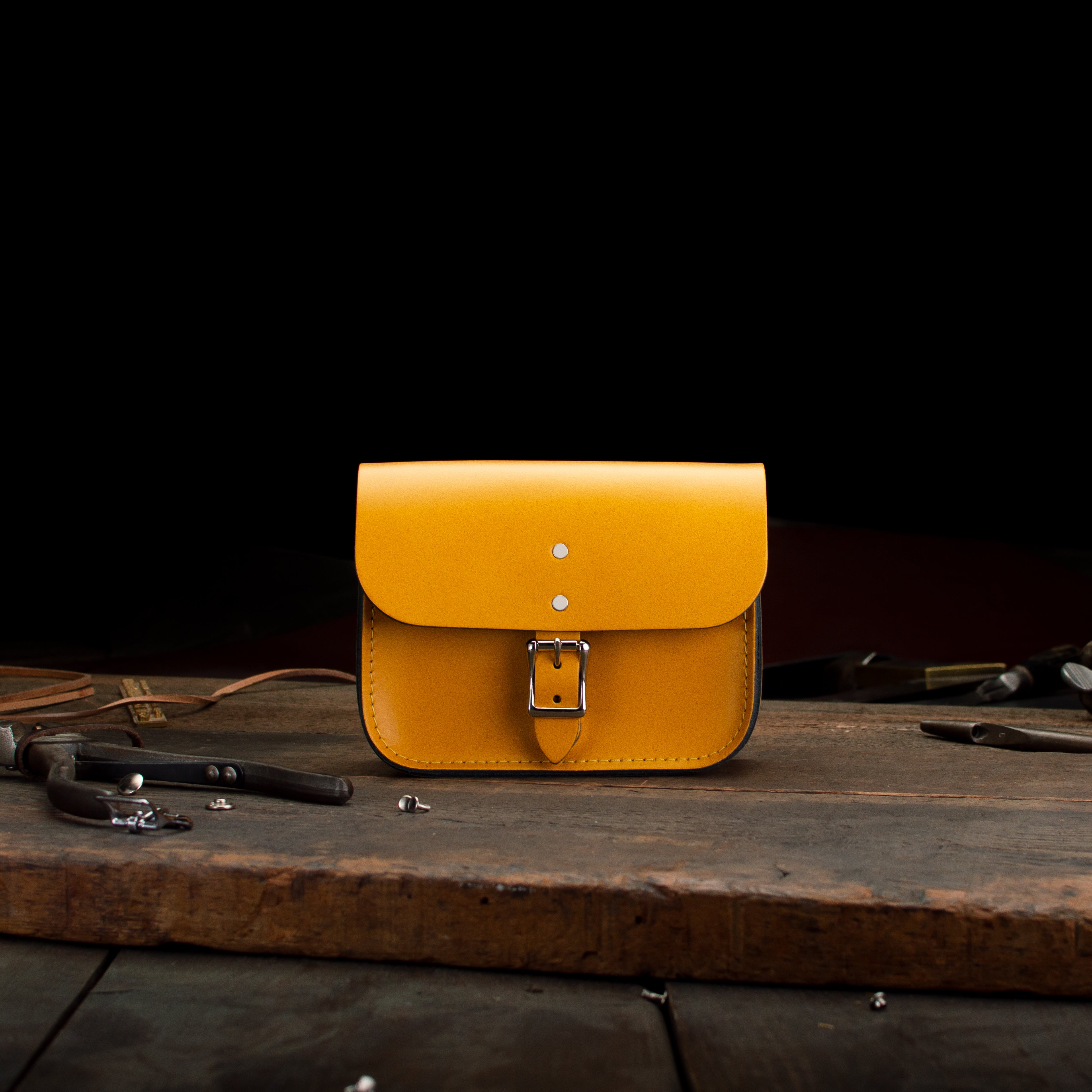 7-inch Hipster, Leather Crossbody, pre-loved and nearly perfect collection