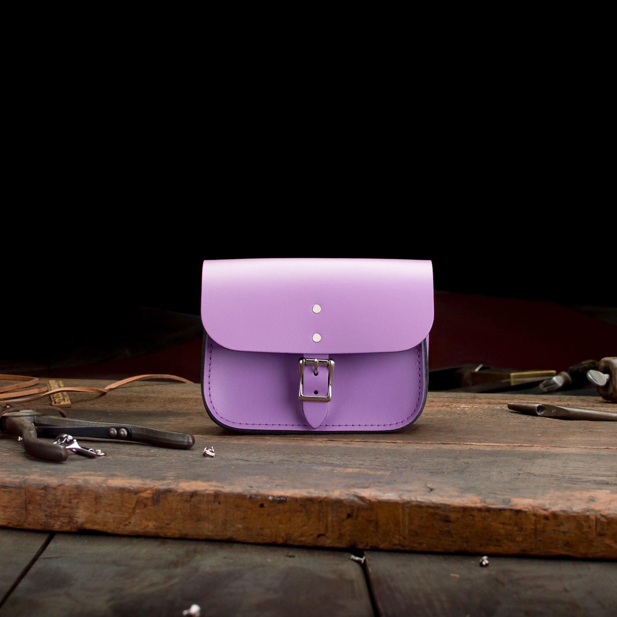 7-inch Hipster, Leather Crossbody, pre-loved and nearly perfect collection