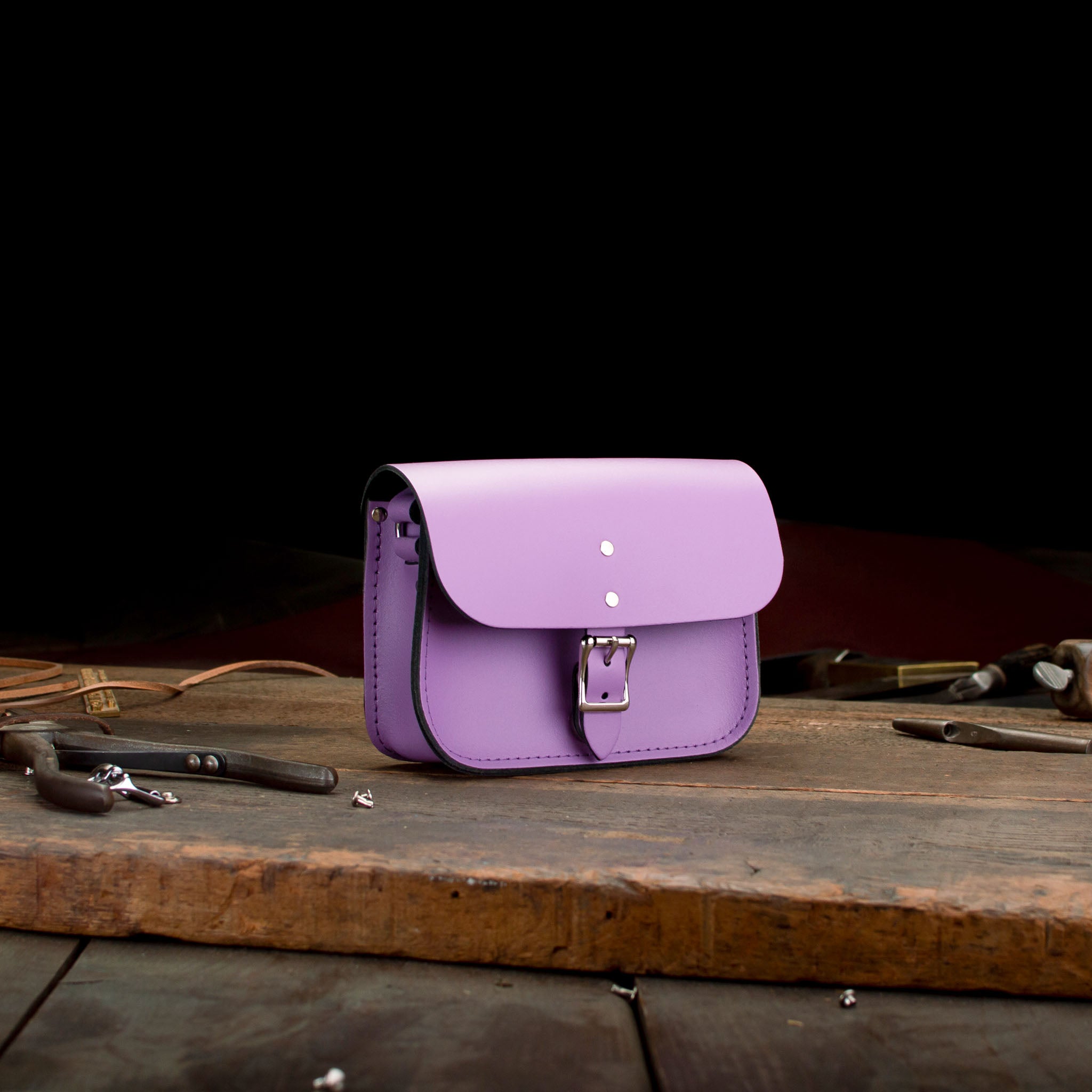 7-inch Hipster, Leather Crossbody, pre-loved and nearly perfect collection