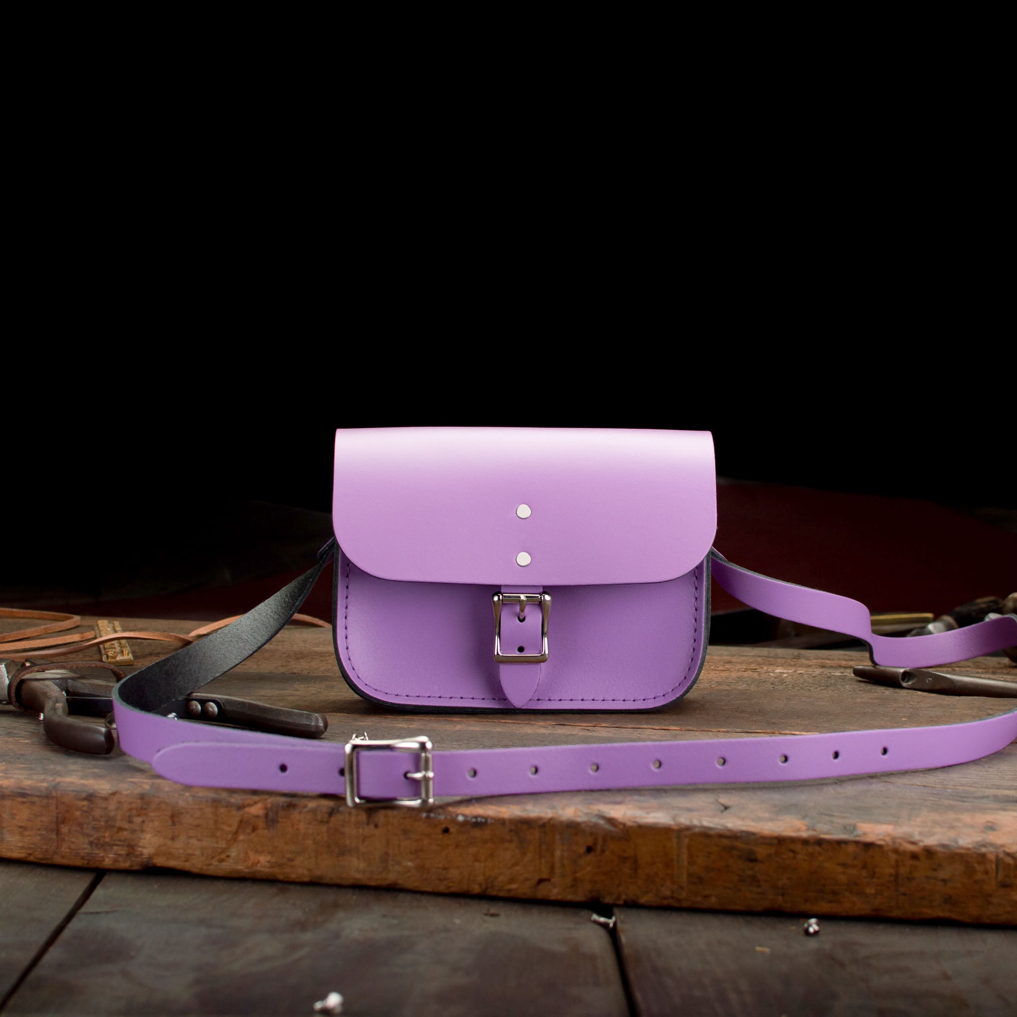 7-inch Hipster, Leather Crossbody, pre-loved and nearly perfect collection