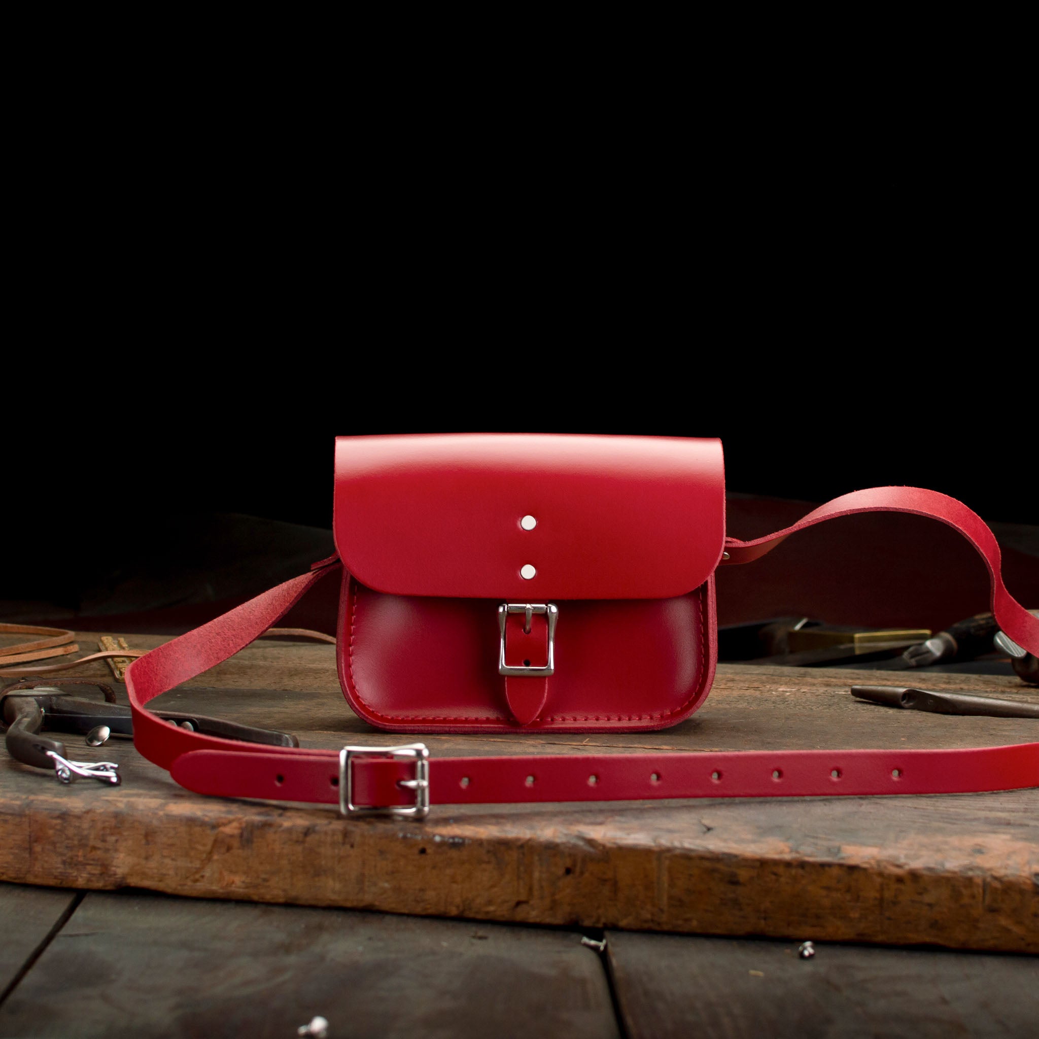 7-inch Hipster, Leather Crossbody, pre-loved and nearly perfect collection
